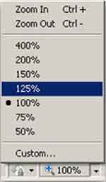 Internet Explorer Software Zoom In Menu