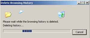 Delete Browsing History Action