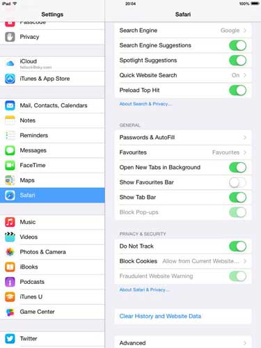 Safari Web Browser Settings