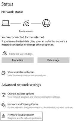 Microsoft Windows Network Status