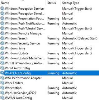 Microsoft Windows WLAN AutoConfig Service Option